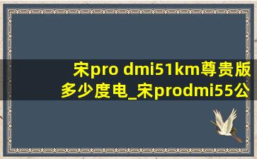 宋pro dmi51km尊贵版多少度电_宋prodmi55公里多少度电